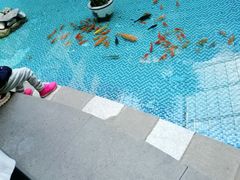 -黑龙江中医药大学