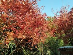 -香山公园-东宫门售票处