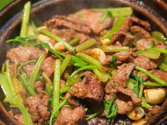 啫啫牛柳-煲煲好(朝阳门店)
