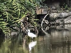 -龙头寺公园