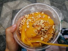 -夏食光安顺小舒冰粉冰浆(甲秀楼店)