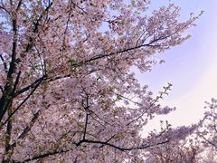 -龙美术馆(西岸馆)
