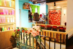 点击看大图 -金棕榈