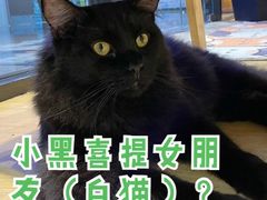 -藏猫猫咖啡主题馆(中央大道店)