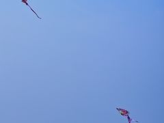-东疆建设开发纪念公园