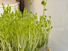 -海底捞火锅(奥森店)