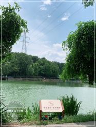 -珍珠泉水上世界