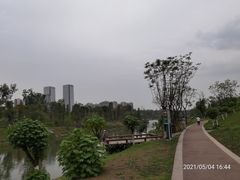 -桂溪生态公园