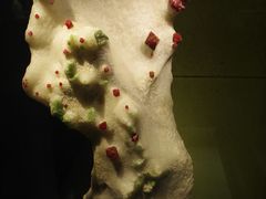 -中华赏石园