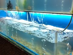 水产区-芭菲盛宴·环球美食(解放碑英利国际店)