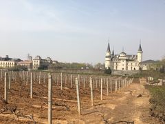 -北京张裕爱斐堡酒庄