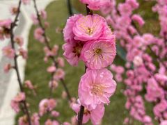 -秦文明广场
