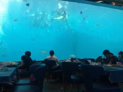 -瑞德姆美人鱼海底演艺主题餐厅(亚龙湾店)