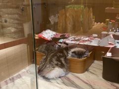 -悠尼宠物·独立低压伊珊娜洗护·美容·寄养(兰谷路店)