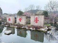 -香雪海