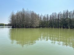 -上海海湾国家森林公园