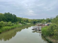-上海长兴岛郊野公园