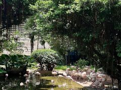 -九龙公园