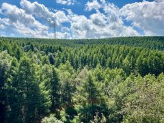 -塞罕坝国家级自然保护区