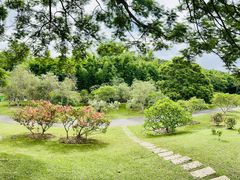 -中国科学院西双版纳热带植物园