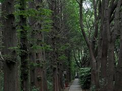 -同里国家湿地公园