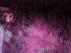 -南京奥林匹克体育中心-体育馆