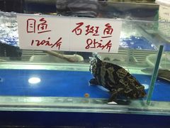 -张树军海鲜(王府壹号店)