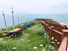 -枸杞岛