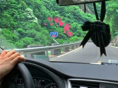 -都江堰石锅鱼