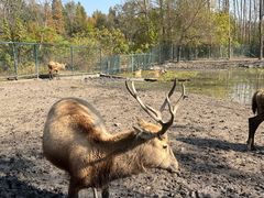 -溱湖国家湿地公园