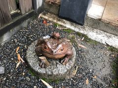 -京都冈本和服体验租赁店(清水寺店)