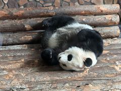 -济南野生动物世界