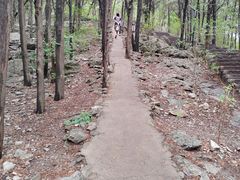 -云龙山