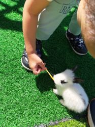 -萌宠亲子动物乐园(槐房万达店)