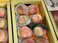 -南汇水蜜桃采摘(大团店)