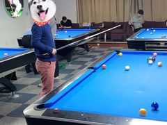 -丁俊晖台球俱乐部(海上海·弘基休闲广场店)