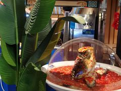 -坛宗剁椒鱼头(河西王府井店)