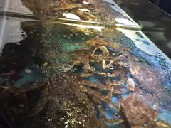 -蟹之国·精品蟹料理(极地店)