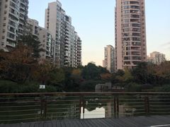 -新湖明珠城