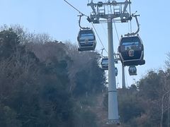 -普陀山慧济禅寺