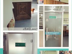 -瑞派长江宠物医院·猫科·外科·24小时夜护(谊城公寓分院)