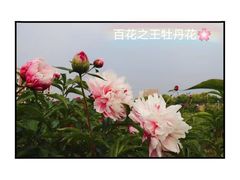 -中国药科大学（江宁校区）-图书馆