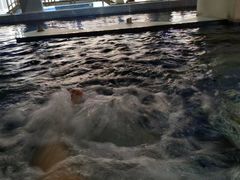 -稷泽·海丽宾雅温泉度假酒店