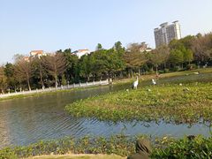 -映月湖公园