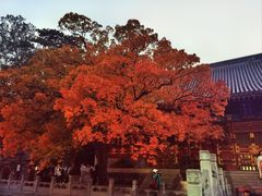-香山公园