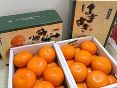 -广州四季酒店