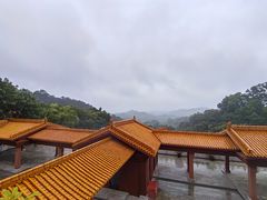 -深圳仙湖植物园