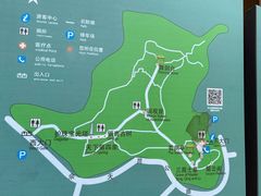 -上海佘山国家森林公园天马山园