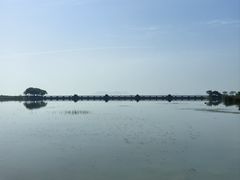 -贡湖湾湿地公园