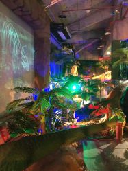 -恐龙探索乐园(磁器口店)